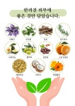 늘봄 아로마 공방with 반려견아로마테라피
