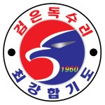 검은독수리 최강합기도