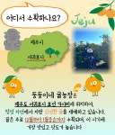 둥둥이네귤농장