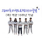 고려대호태권도