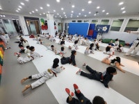 고려대호태권도