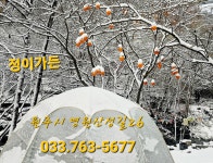 정이가든