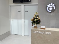 ACE동물병원