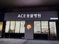 ACE동물병원