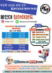 용인대청아태권도