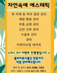 자연속에 에스테틱
