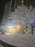 메가MGC커피 수원모아미래도점