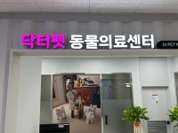 닥터펫동물의료센터