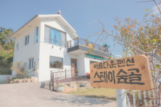 스테이숲골