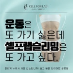 셀포랩다올점 | 셀포랩지안
