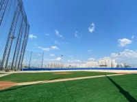 서울대학교 시흥캠퍼스 스포츠파크