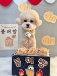 보떼독