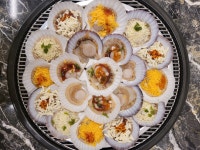 조개하우스