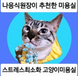 고양이무마취미용&시그널25