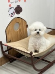 아띠