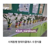 꽃사로움 힐링원예
