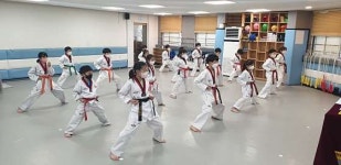 삼호태권도