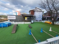 솜마애견풀빌라