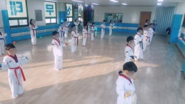 용인대상무태권도