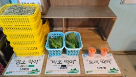 타조마을