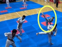 고려인성태권도
