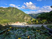 산수미