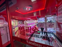 앨리스인원더랜드