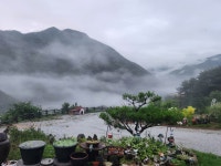 산수미