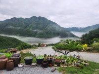 산수미