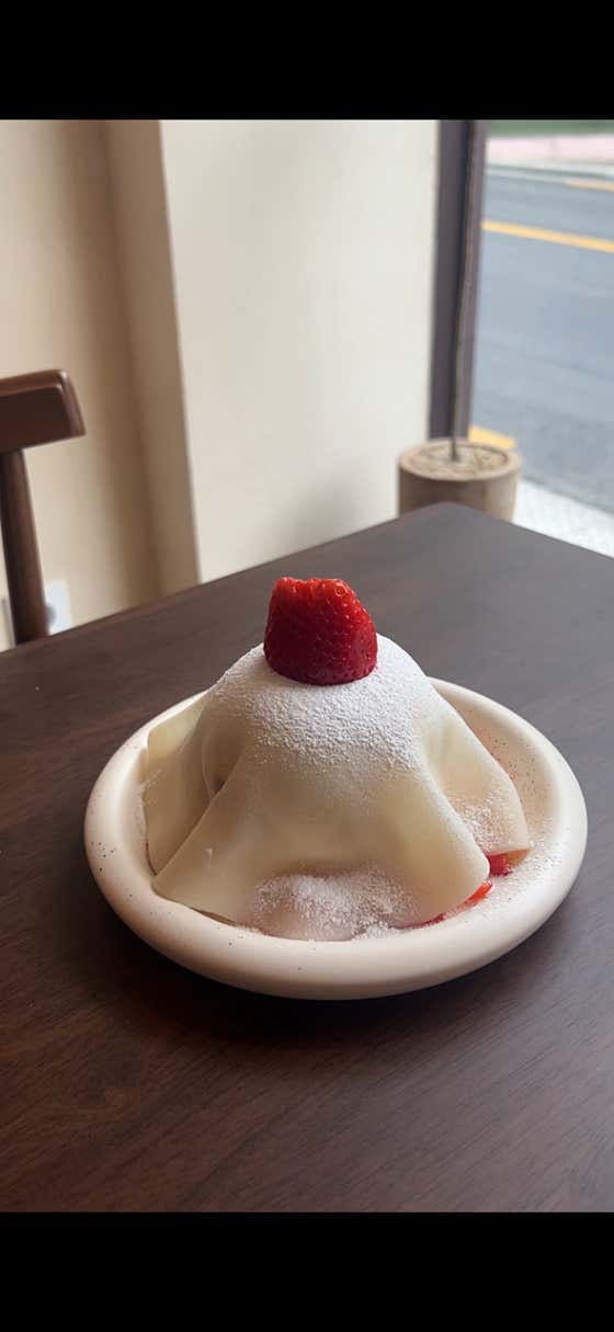 토터스 사진