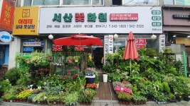 서산화원