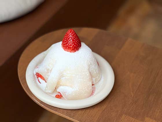 토터스 사진