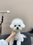 뚜뚜멍멍