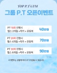 탑 피티짐