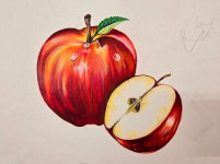 흙그림미술교습소