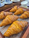 카페오핸