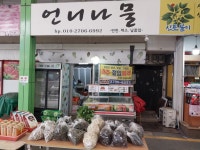 언니 나물