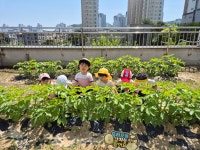 예미지키즈어린이집