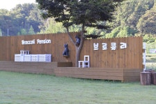 브로콜리펜션