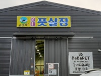 모여라실내풋살장