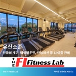 더 피트니스랩