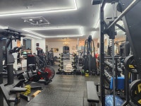 나의 Fit 파트너