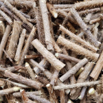 선비가가시오가피농장