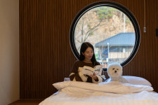 풀스테이 스테이펫 홍천