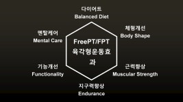 매일피트니스 프리PT 양재역점