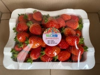 딸기농장 혁신그린팜