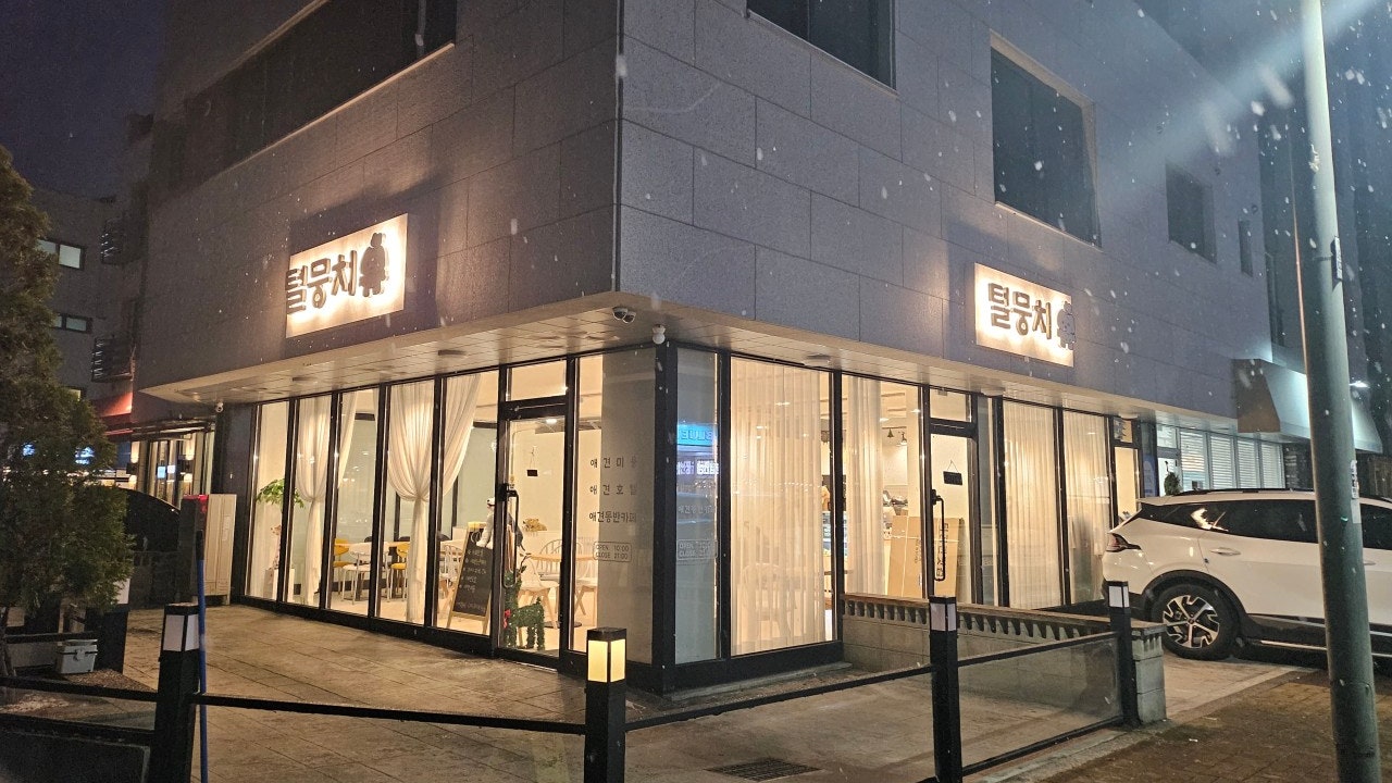털뭉치