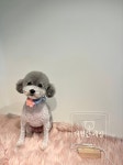 개편한세상