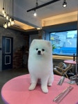 그루밍제이