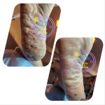 탠블리 왁싱&태닝 회기점